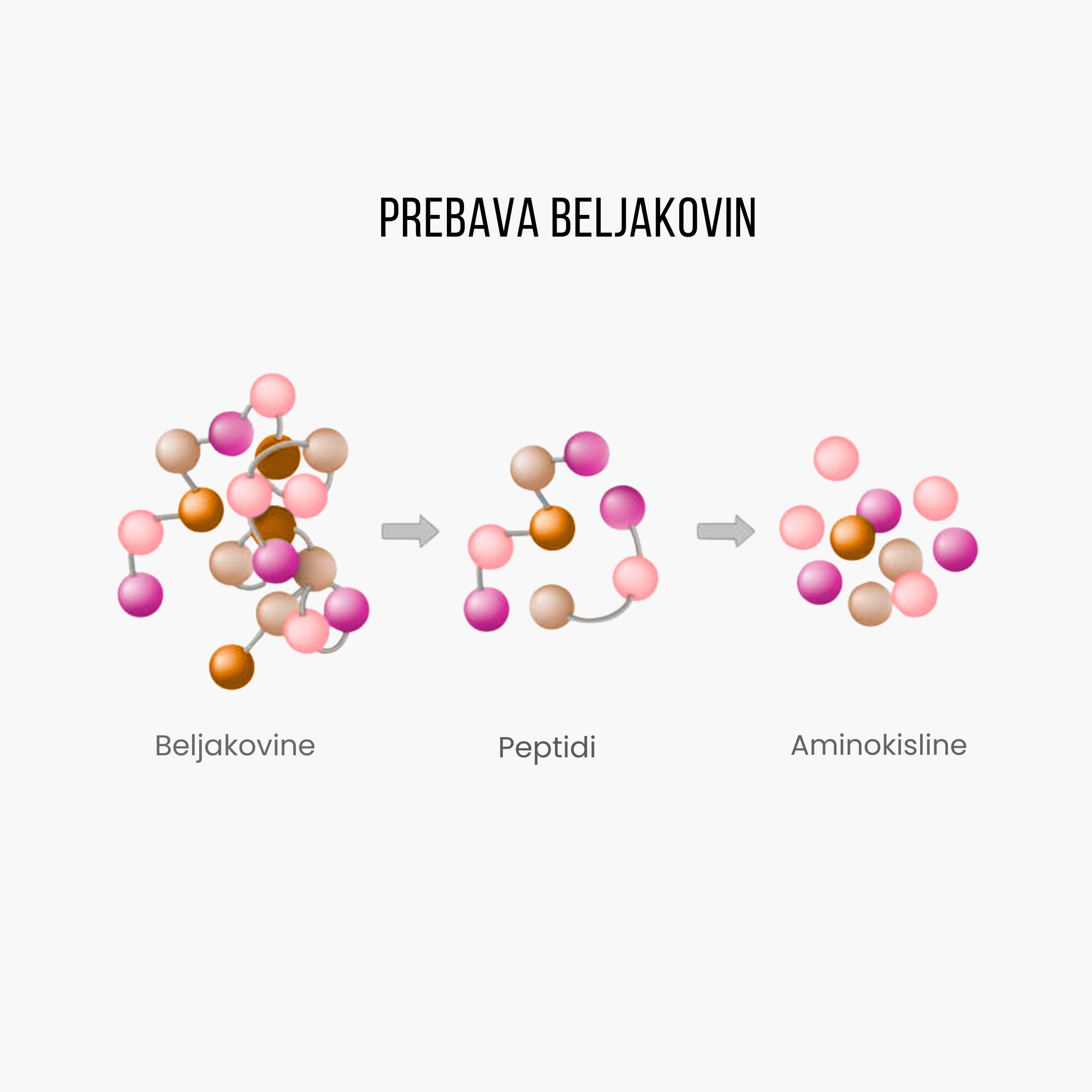 (Slovinština) - 2025-01-09T204718.956
